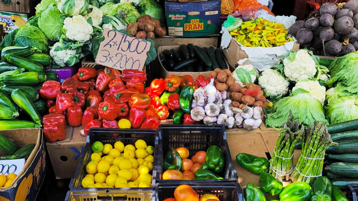 Ferias libres crecen en Chile con fuerte presencia mapuche y un impulso regional por modernizar la distribución